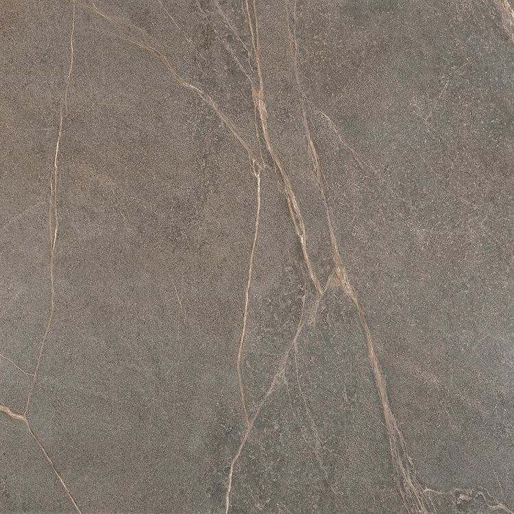 Marmerlook Tegels 100x100 - SPS Coffee Bruin Variatie