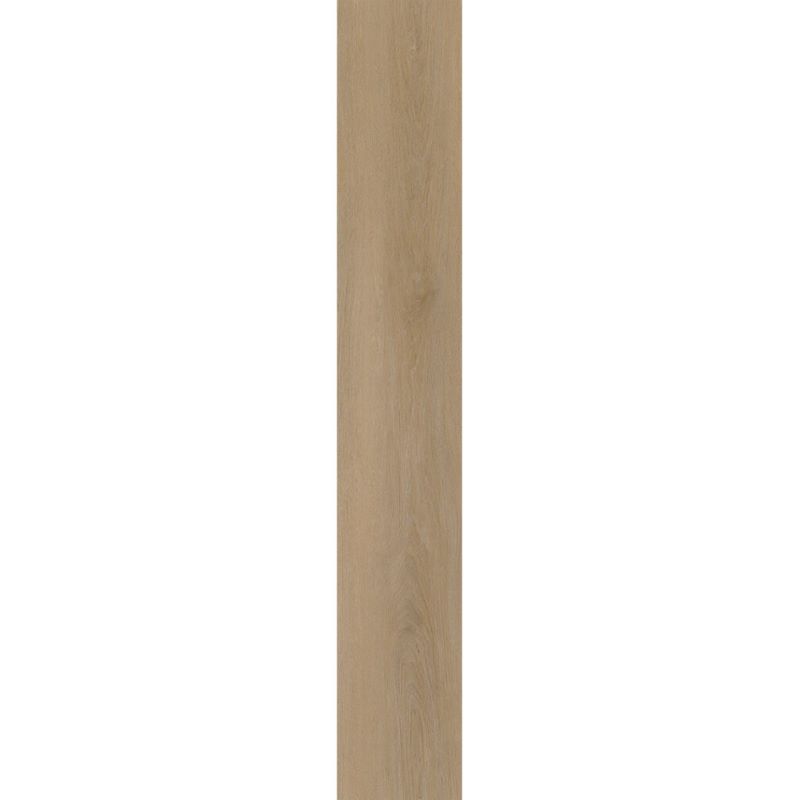 Belakos Attico 810 Lichtbruin 152×23,6