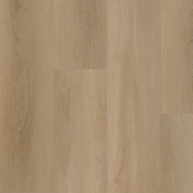 Belakos Attico 810 Lichtbruin 152×23,6