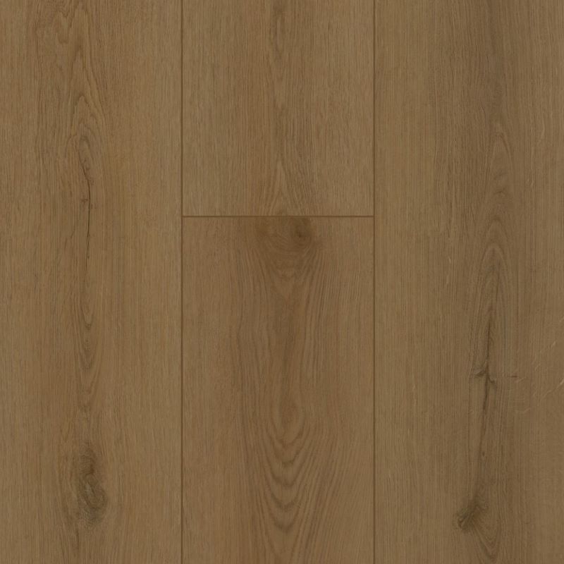 Gelasta Firmfit Sierra Brown Bruin 154×23,3