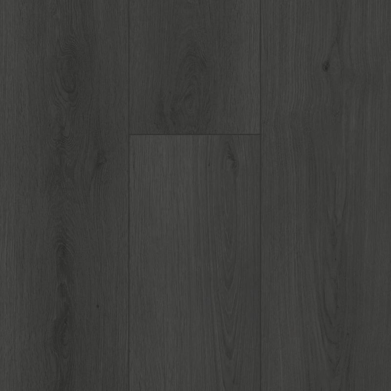 Gelasta Firmfit Summerfield Charcoal Donkergrijs 154×23,3