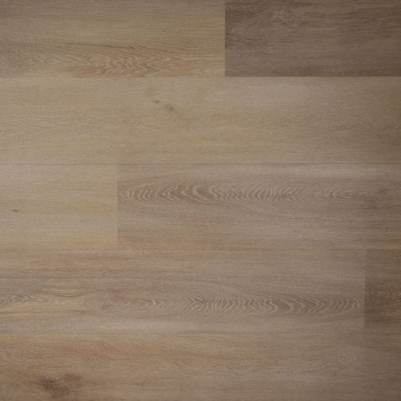Douwes Dekker Ambitieus Riante Plank Honing Lichtbruin 151×22