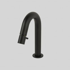 Lagoo Fonteinkraan 4104 - Matt Black G4104MB