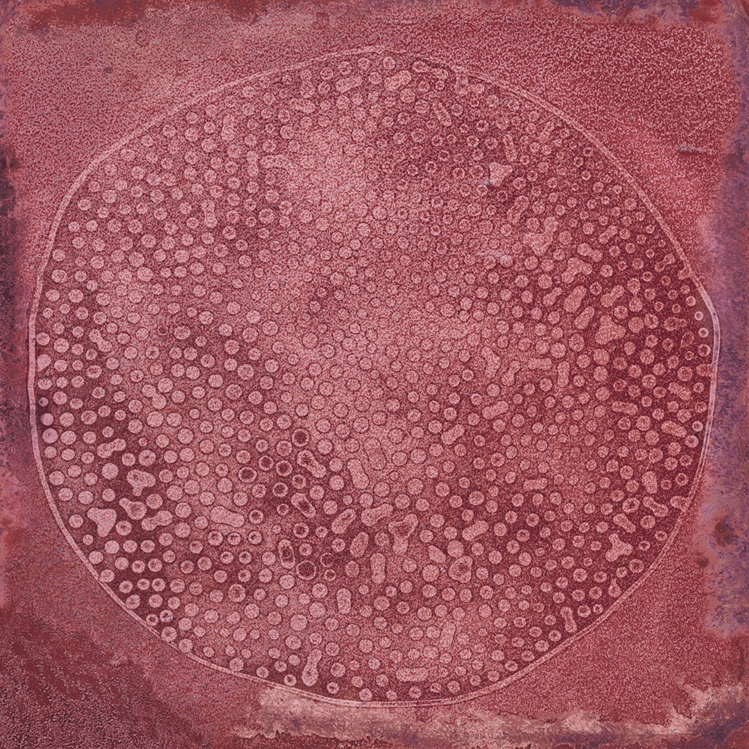 20x20 Handvorm Wandtegels - Luca Carlo Granate Close