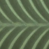 AS Green