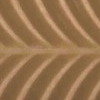 AS Ochre