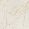 Pulpis Ivory