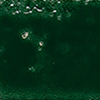 Basil Green