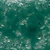 Sage Blue