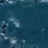 Whale blue