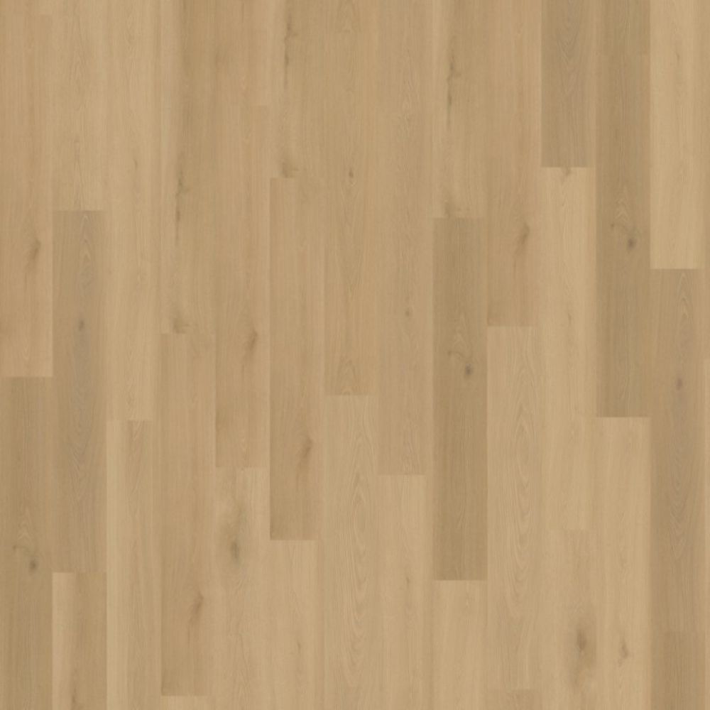 Belakos Borgo 300 Dryback 152,4×22,9 Beige