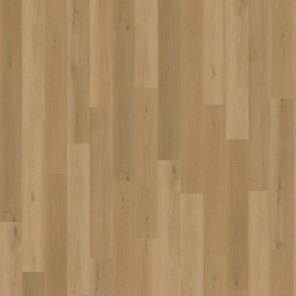 Belakos Borgo 320 Dryback 152,4×22,9 Beige