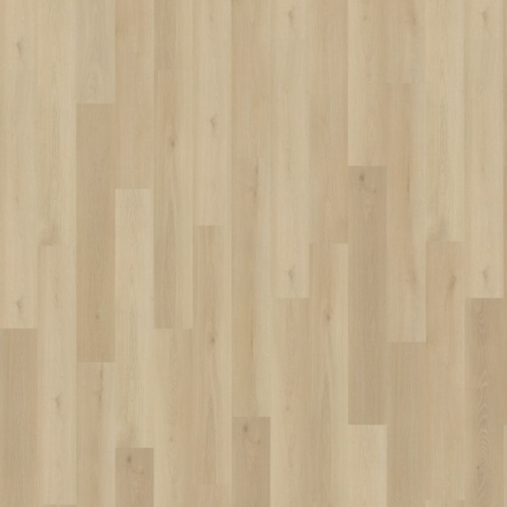 Belakos Borgo 330 Dryback 152,4×22,9 Beige