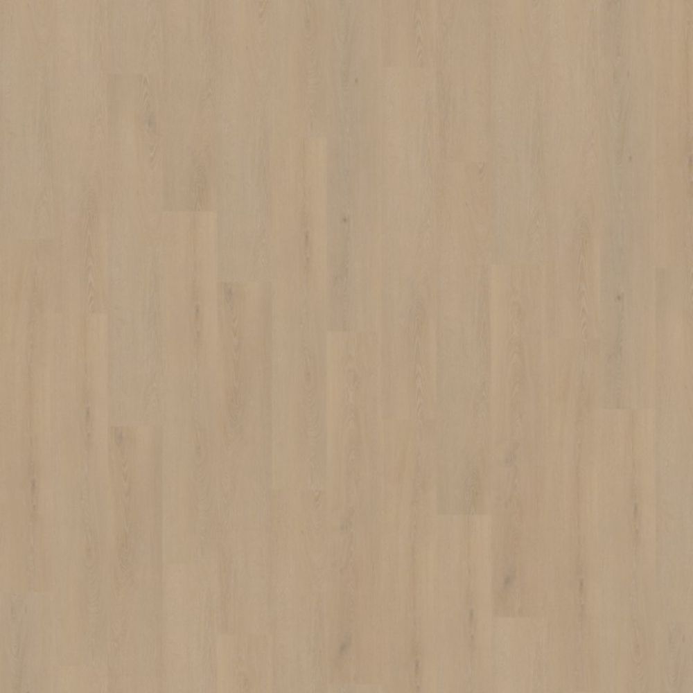 Belakos Cervo 200 Dryback 152×23,6 Beige