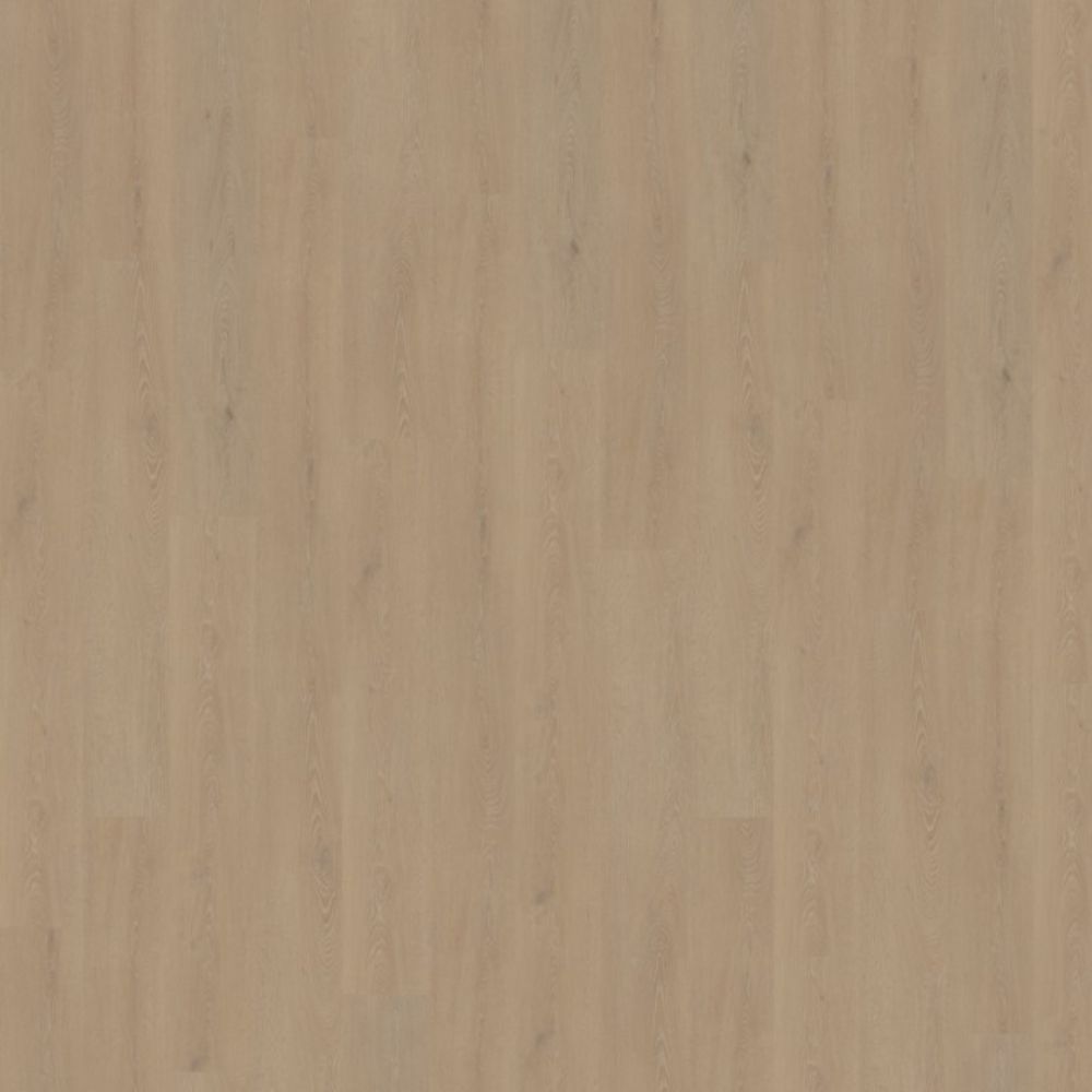 Belakos Cervo 210 Dryback 152×23,6 Beige