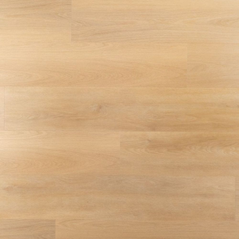 Douwes Dekker Ambitieus Riante Plank Brioche 151×22 Beige