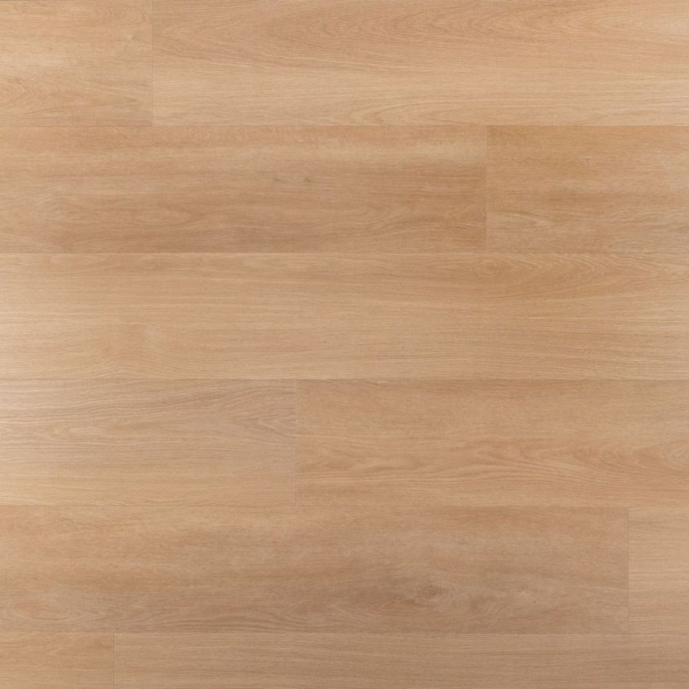 Douwes Dekker Ambitieus Riante Plank Tompouce 151×22 Lichtbruin